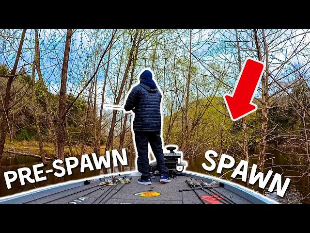 Finding A NEEDLE In A Haystack (New Lake BREAKDOWN)