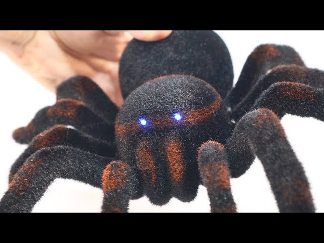 Remote Control SPIDER | RC Spider UNBOXING and PRANK!!