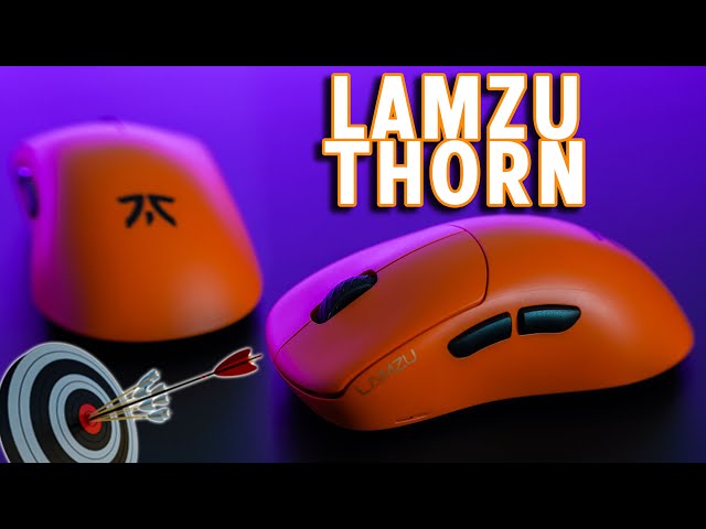 Lamzu Thorn Ergo Mouse - A Solid Choice!
