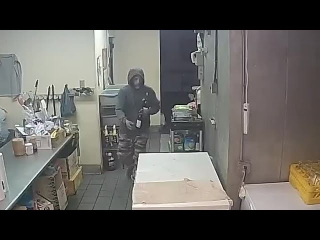 SURVEILLANCE VIDEO: East Haven police seek restaurant burglary suspect