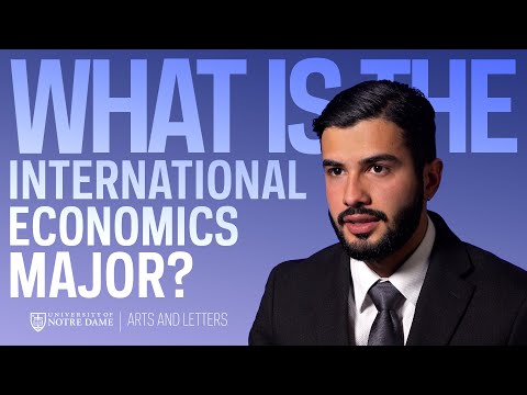 What is the International Economics Major?