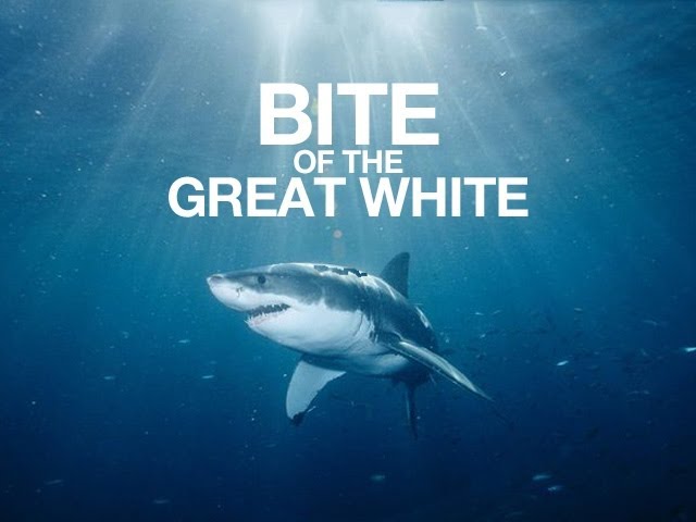Bite of the Great White! (Shark Week remix)