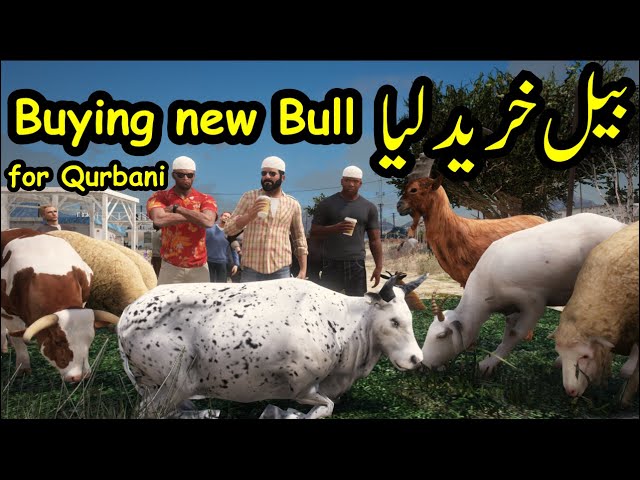 GTA 5 Buying new Bull for Qurbani | Radiator | GTA 5 Real Life Mods | GTA 5 Pakistan
