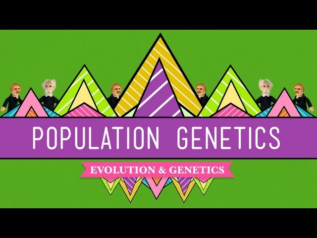 Population Genetics: When Darwin Met Mendel - Crash Course Biology #18