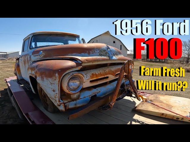 We rescued a 1956 Ford F-100 straight off a Kansas ranch! Will it run again?