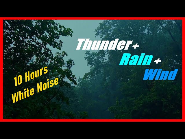 White Noise Thunder Wind and Rain Sounds for Sleep Without Interruptions