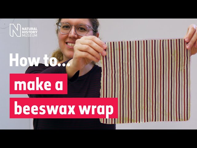 How to make a beeswax wrap. A plastic free alternative to cling film | Natural History Museum