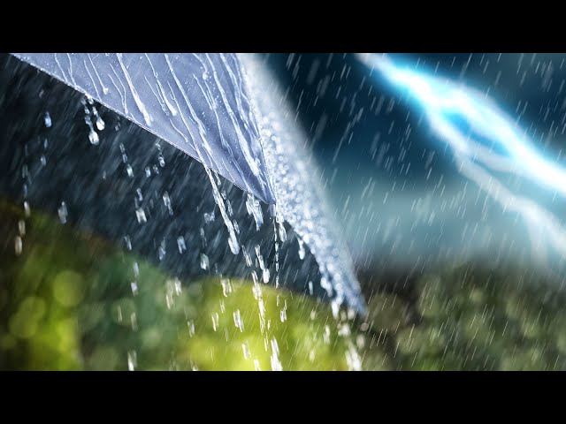 Rain +  Thunder | Thunderstorm Sounds for Sleep or Studying | 10 Hours White Noise