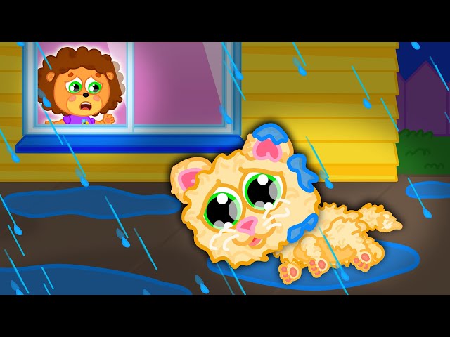 Lion Family | Little Baby Found Shivering Cat | Cartoon for Kids