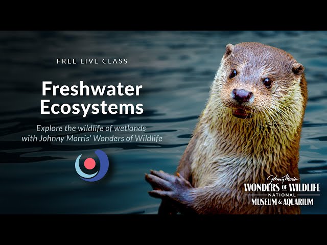Varsity Tutors' StarCourse - Freshwater Ecosystems with Wonders of Wildlife