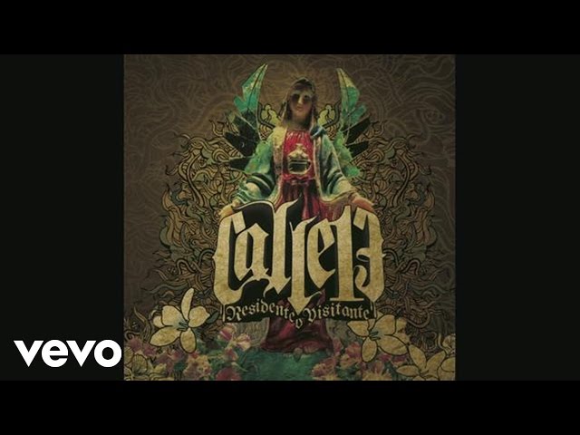 Calle 13 - Algo Con-Sentido (Cover Audio Video) ft. pg-13