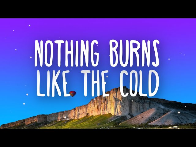 Snoh Aalegra - Nothing Burns Like The Cold (Lyrics) ft. Vince Staples