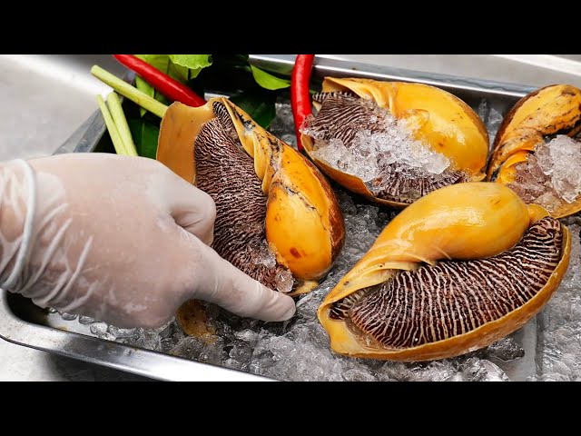 Thai Food - ALIEN SNAIL SASHIMI SALAD Aoywaan Bangkok Seafood Thailand