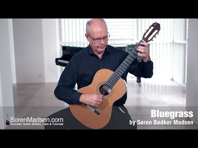 Bluegrass (Soren Madsen) - Danish Guitar Performance - Soren Madsen