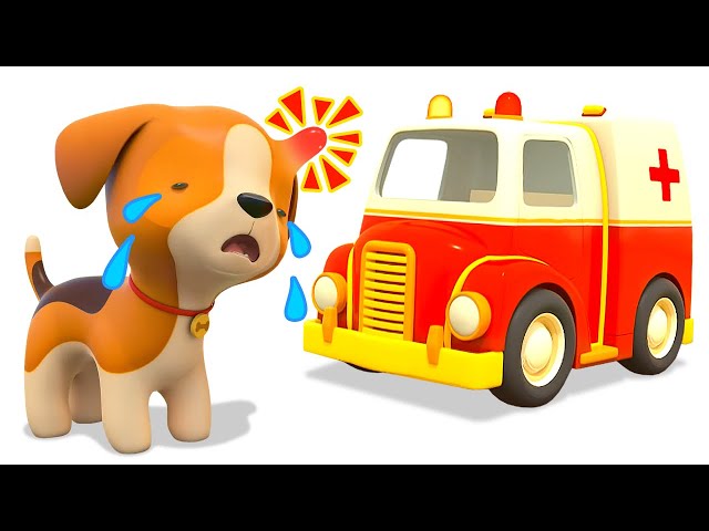 Helper cars for kids. Baby cartoons. Full episodes of car cartoons for kids. Learn animals for kids.