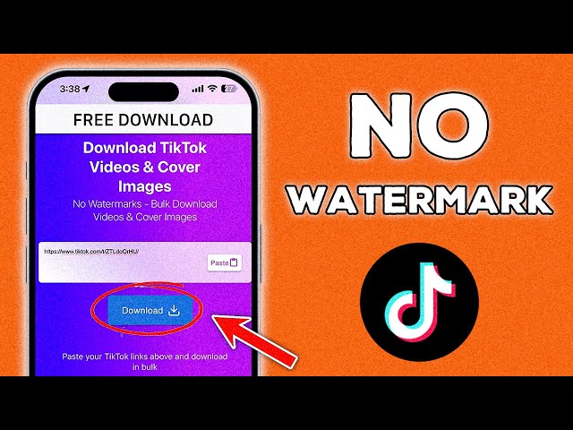 Download ANY TikTok Video WITHOUT Watermark | Bulk Download Multiple Videos