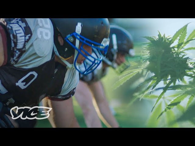 Can Weed Lead to a Reduction in NFL Concussions? | WEEDIQUETTE