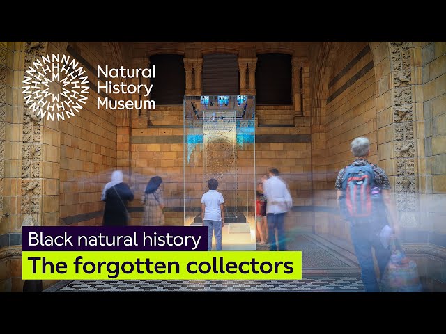 Untold stories: The forgotten collectors | Black natural history
