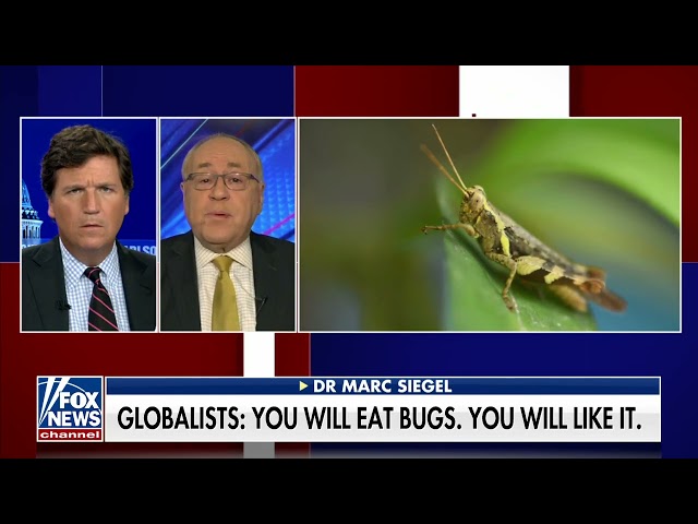 Tucker Carlson: Why are insects secretly ending up in your food