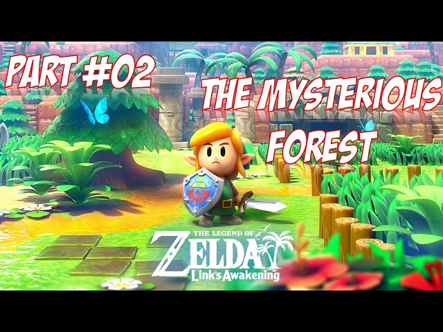 The Legend Of Zelda Link's Awakening Let's Play And Walkthrough Ep 02 - The Mysterious Forest