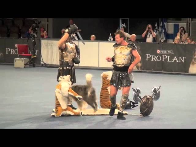 Dogdancing World Championship final, Salzburg 2012