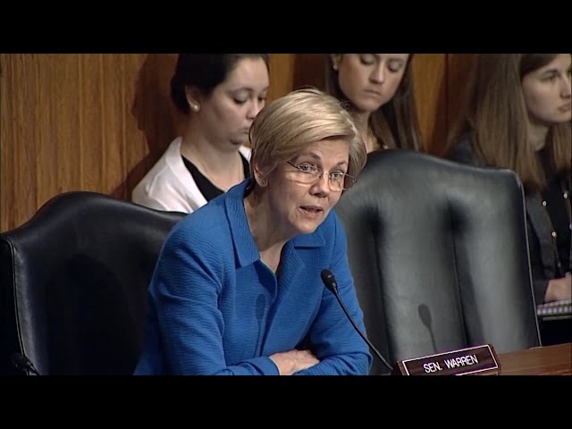 President Trump is Creating Chaos: Senator Elizabeth Warren at Health Care Hearing