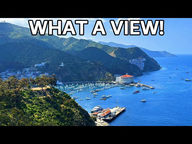 Scenic Driving Tour Of Catalina Island & Avalon: Fantastic Tour With The Catalina Island Company