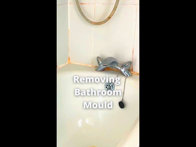 How To Remove Bathroom Mould | Quick & Easy #HomeKeepingChannel