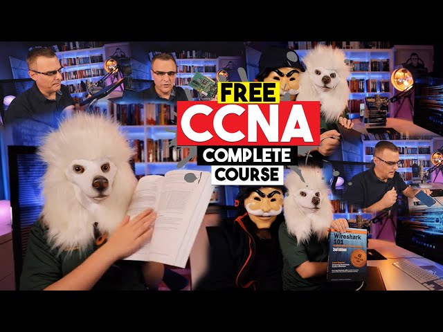 The smallest network? | Free CCNA 200-301 Course | Video #2