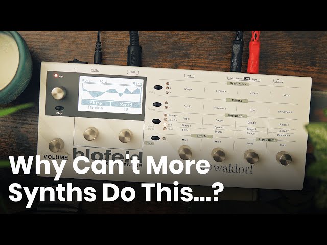 Why Can't More Synths Do This? 🤔 | Another Waldorf Blofeld Love Letter