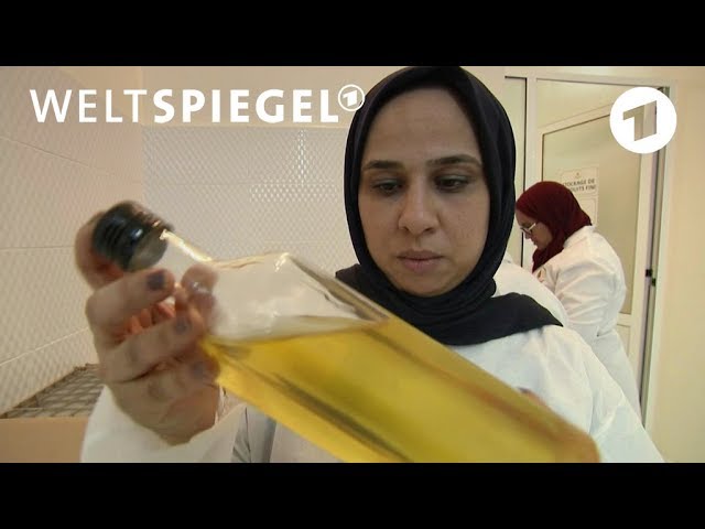 Wie marrokanische Frauen vom Arganöl profitieren