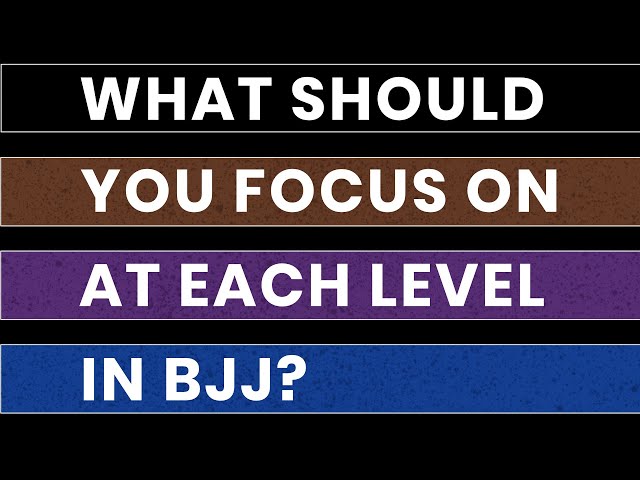 What Should You Focus On At Each Belt Level in BJJ?