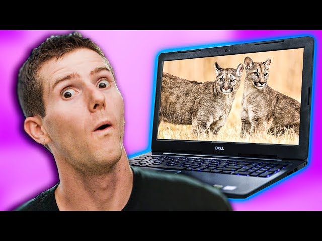 Are YOU a Cheap-ass Gamer? - Dell G3