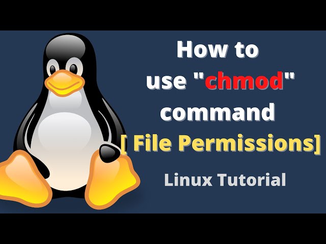 File Permissions: How to use "chmod" command