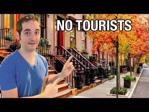 New York Tips Videos
