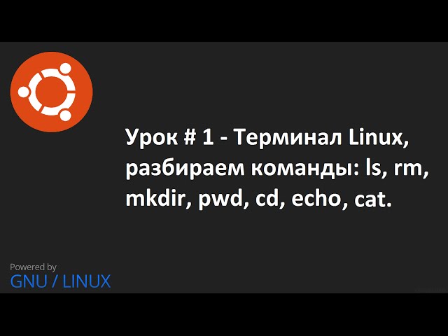 Видео урок 1   Терминал Linux команды : ls, rm, mkdir, pwd, cd, echo