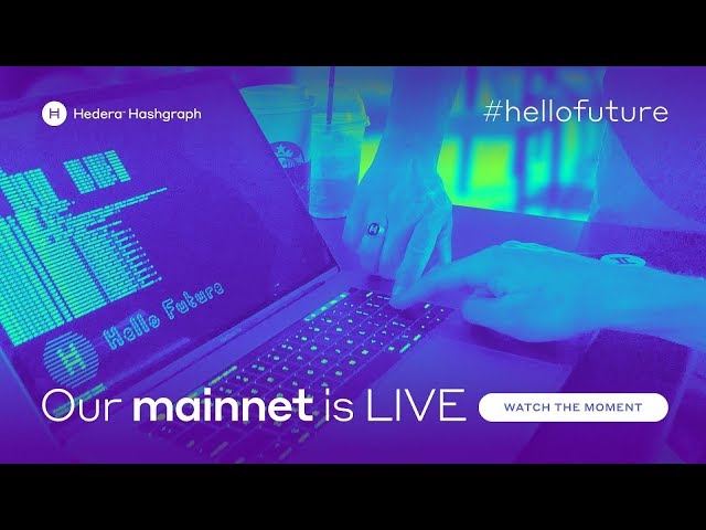 Leemon & Mance launch our mainnet - Aug 24, 2018