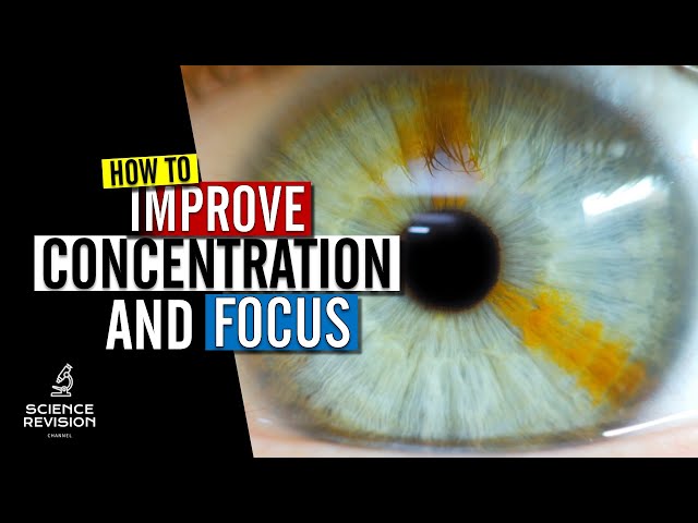 How to improve your concentration and focus