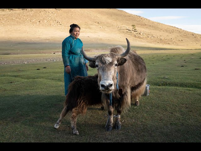 Regenerating Mongolian Grasslands: A Savory & ADRA Partnership