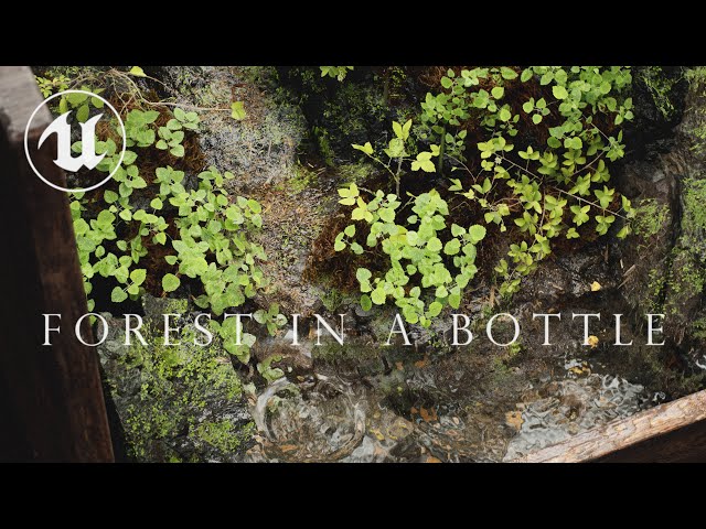 Cliffside Terrarium in UNREAL ENGINE 5 - Forest in A Bottle [UE5 Preview 2] Nanite, Lumen