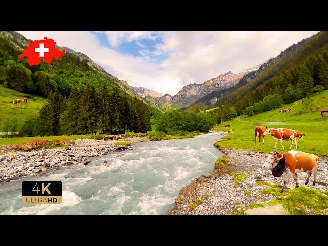 🇨🇭 Most Beautiful Places In Switzerland. Lauterbrunnen, Grindelwald, Mürren, Relaxing Walk 4K