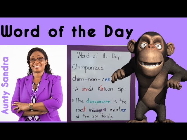 Word of the Day | Chimpanzee | Word in Syllables | Blending Letter Sounds | Learn to Read and Spell