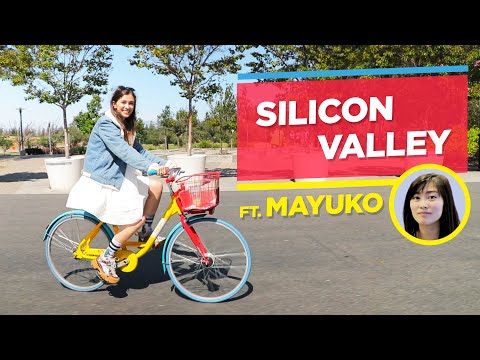 Silicon Valley Life