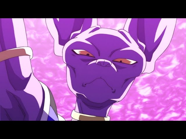 The Truth About Beerus