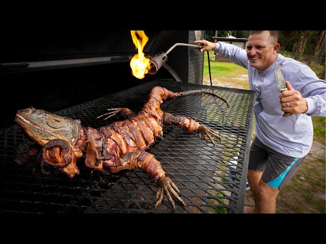 GIANT Iguana Cooked WHOLE {Catch Clean Cook} Bacon Wrapped Lizard