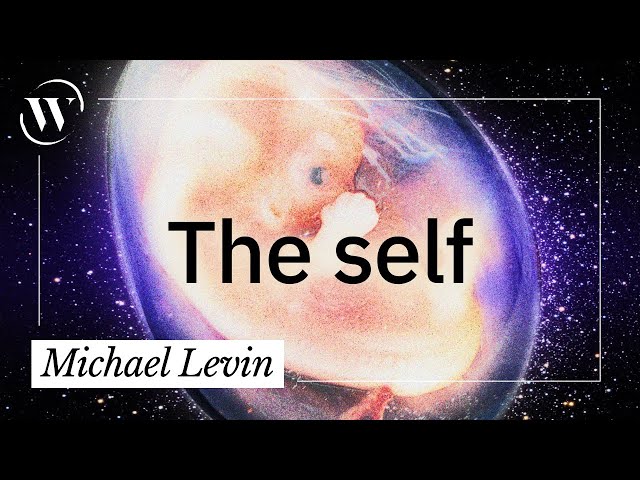 The science of the “self” | Michael Levin