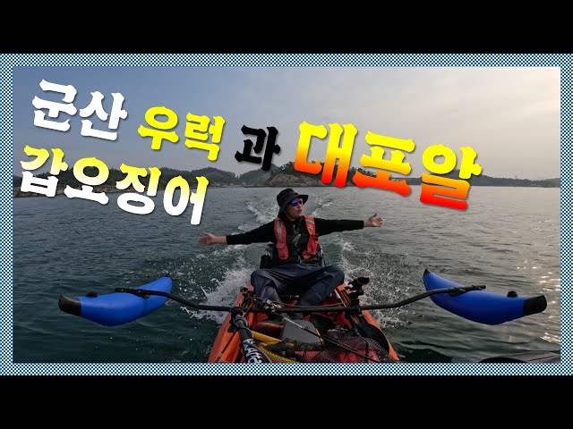 군산은 주꾸미 다음. 우럭 다음. 광어 다음.  이젠 대포알 갑오징어 입니다.아참! 참돔도 지금 입니다. KOREA fishing kayak