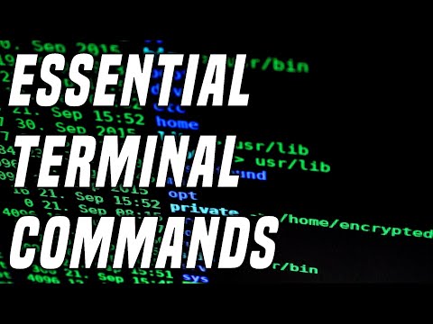 Learning Terminal in Linux