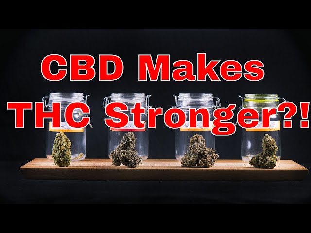 Contrary to Popular Belief, CBD Makes Marijuana Stronger