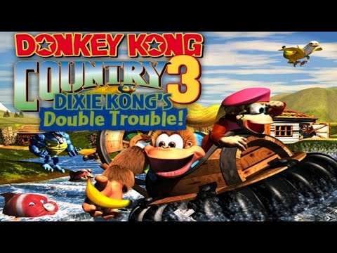 Donkey Kong Series
